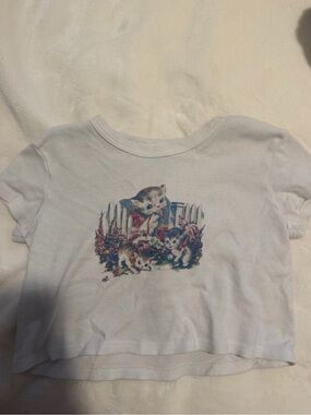 Brandy Melville White Graphic Crop Tee